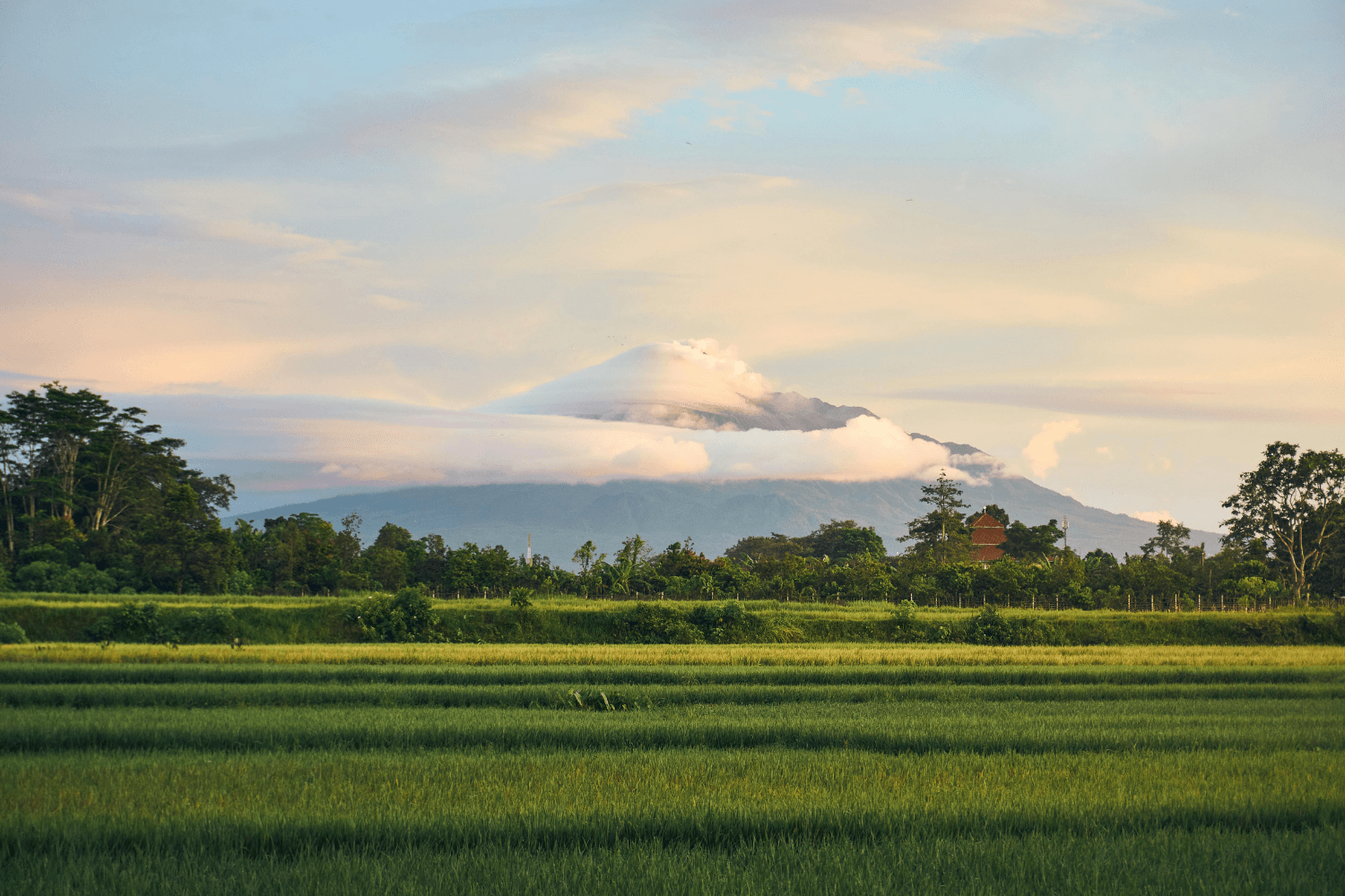 Gunungkidul Project: Water Scarcity and Climate Adaptation